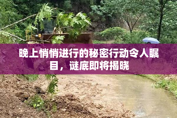 晚上悄悄进行的秘密行动令人瞩目，谜底即将揭晓