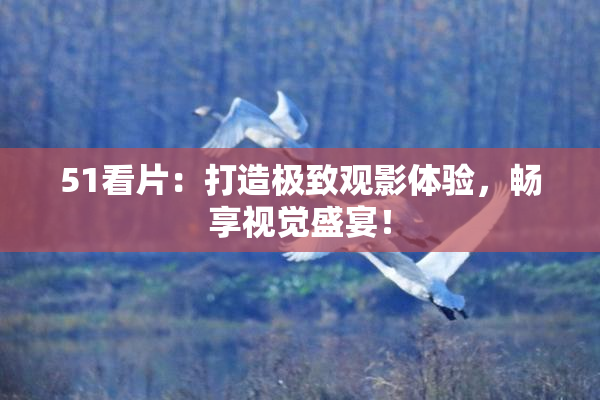 51看片：打造极致观影体验，畅享视觉盛宴！