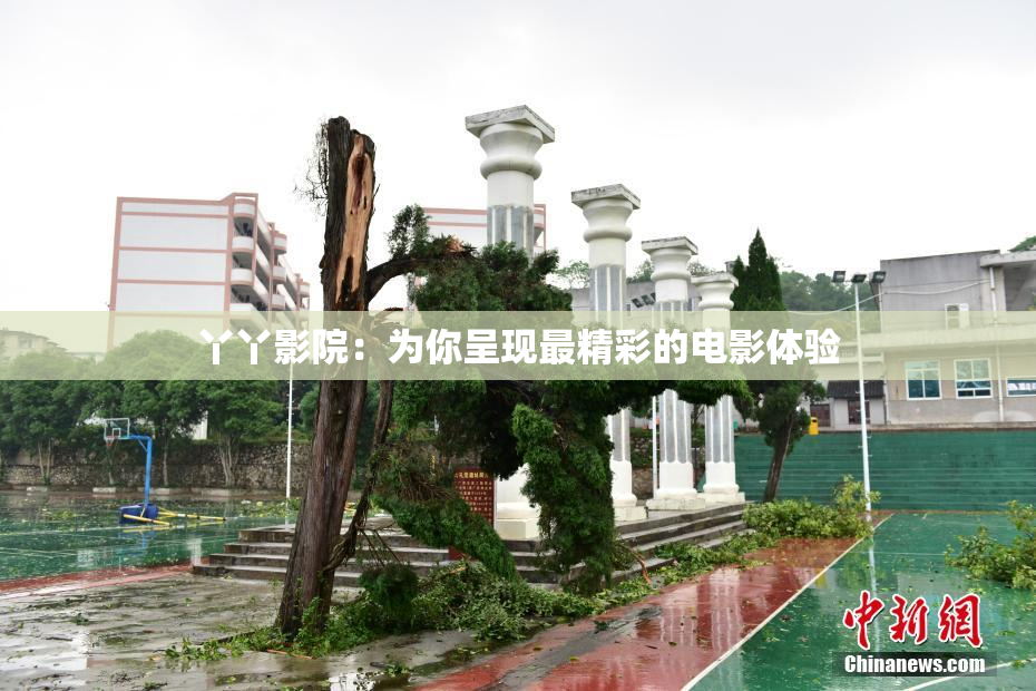 丫丫影院：为你呈现最精彩的电影体验