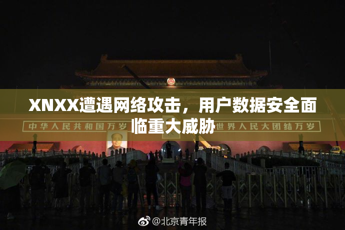 XNXX遭遇网络攻击，用户数据安全面临重大威胁