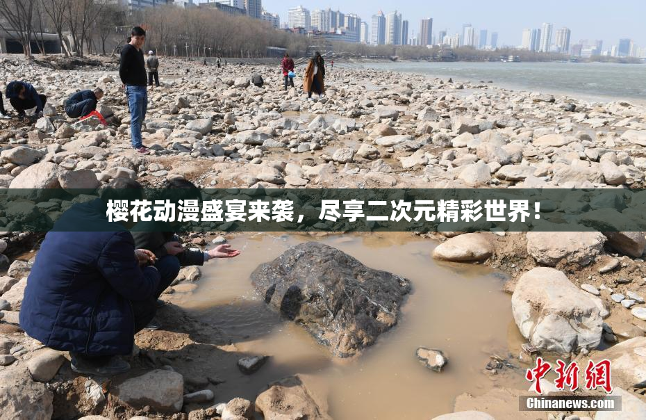 樱花动漫盛宴来袭，尽享二次元精彩世界！