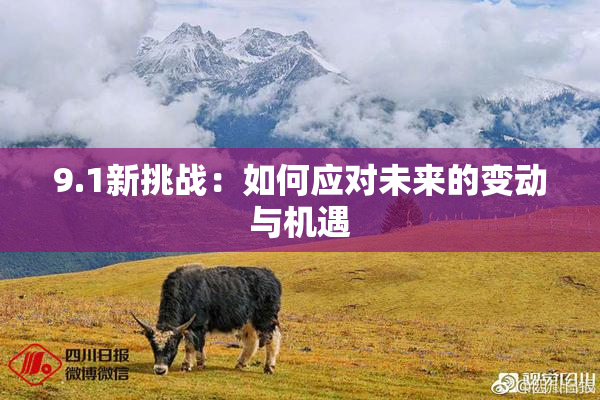 9.1新挑战：如何应对未来的变动与机遇