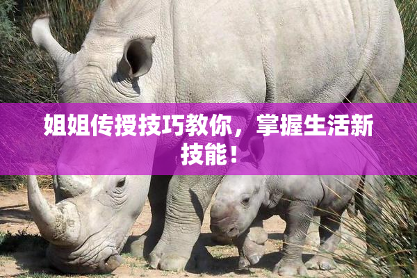 姐姐传授技巧教你，掌握生活新技能！