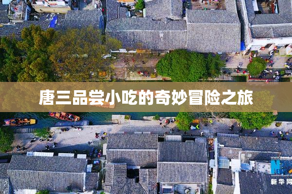 唐三品尝小吃的奇妙冒险之旅