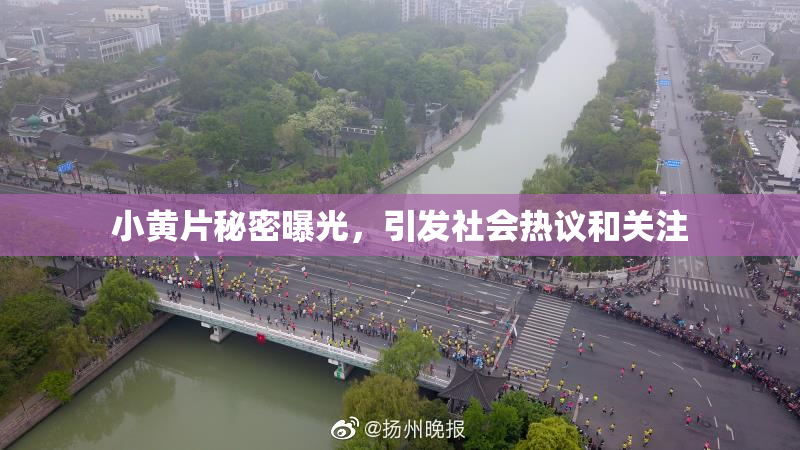 小黄片秘密曝光，引发社会热议和关注
