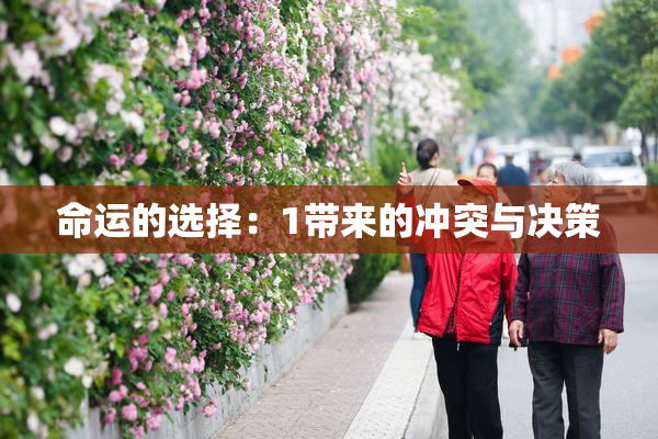 命运的选择：1带来的冲突与决策