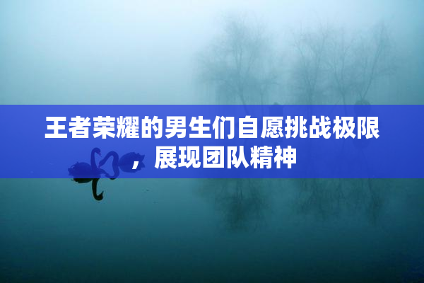 王者荣耀的男生们自愿挑战极限，展现团队精神
