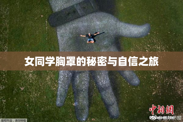 女同学胸罩的秘密与自信之旅