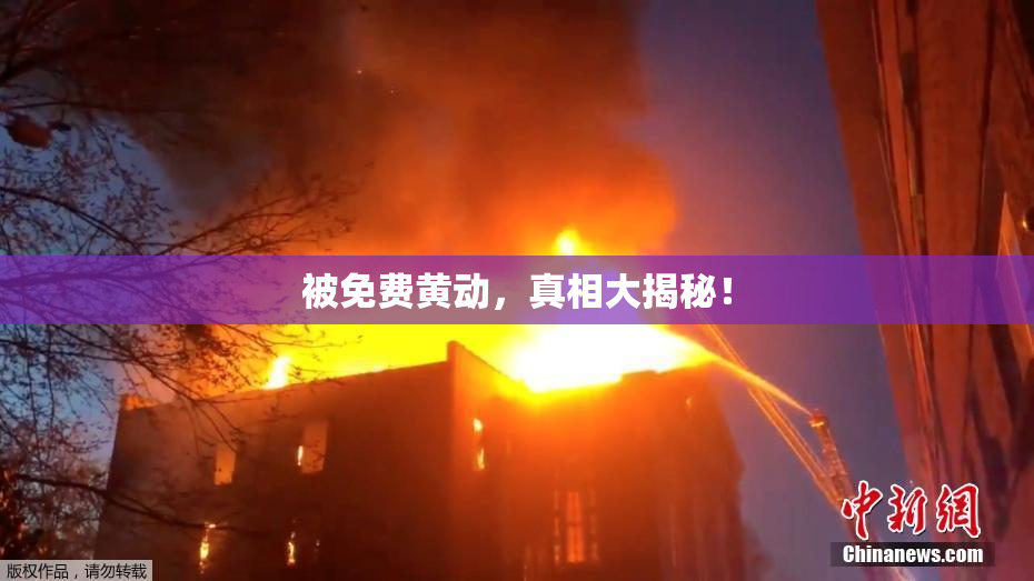 被免费黄动，真相大揭秘！