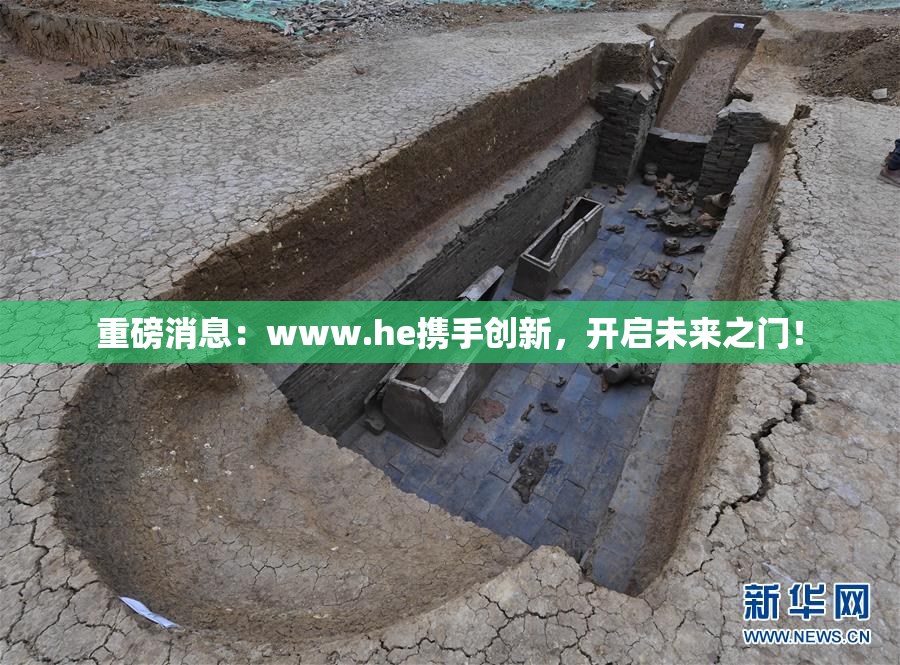 重磅消息：www.he携手创新，开启未来之门！