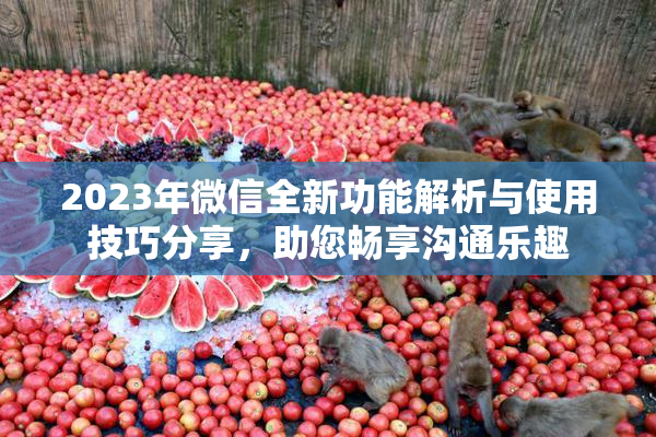 2023年微信全新功能解析与使用技巧分享，助您畅享沟通乐趣