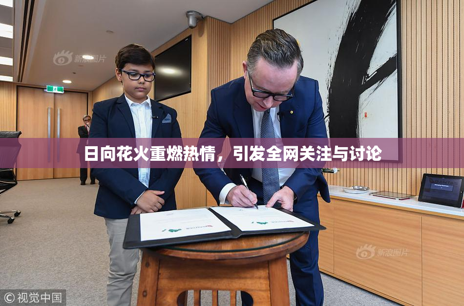 日向花火重燃热情，引发全网关注与讨论