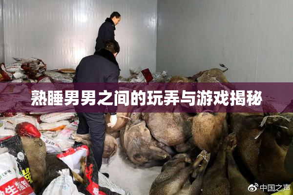 熟睡男男之间的玩弄与游戏揭秘