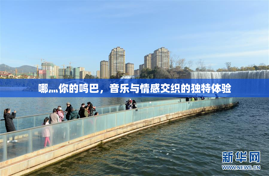 哪灬你的鸣巴，音乐与情感交织的独特体验