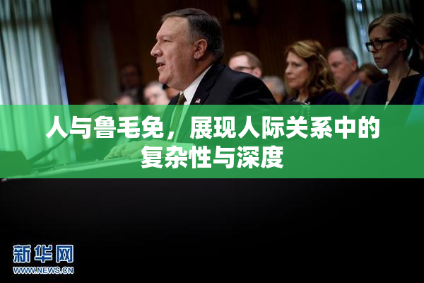 人与鲁毛免，展现人际关系中的复杂性与深度
