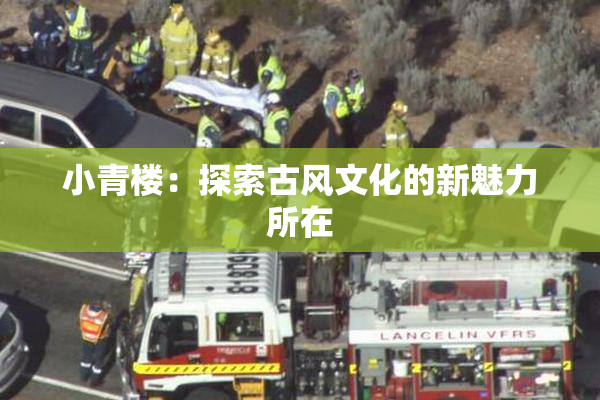 小青楼：探索古风文化的新魅力所在