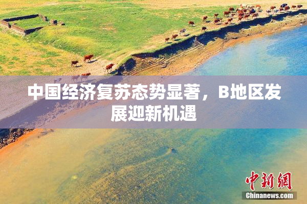 中国经济复苏态势显著，B地区发展迎新机遇