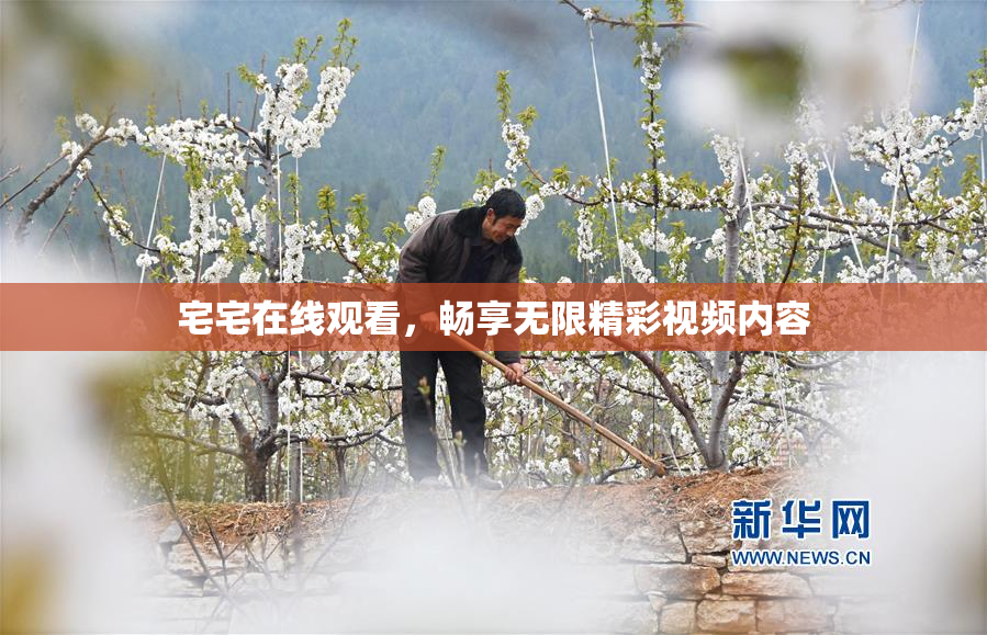 宅宅在线观看，畅享无限精彩视频内容
