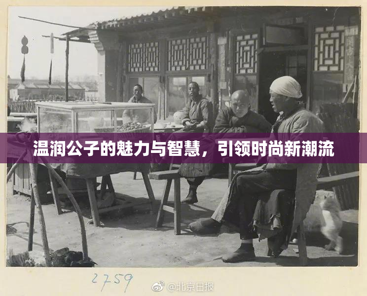 温润公子的魅力与智慧，引领时尚新潮流