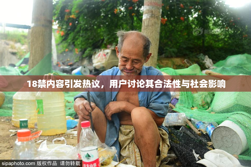 18禁内容引发热议，用户讨论其合法性与社会影响