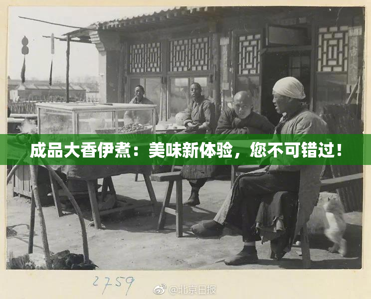 成品大香伊煮：美味新体验，您不可错过！