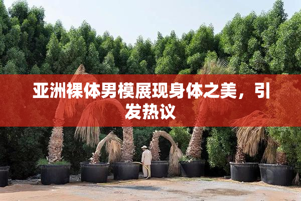 亚洲裸体男模展现身体之美，引发热议