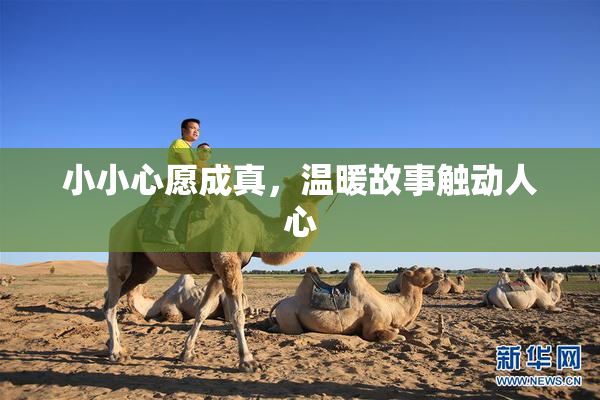 小小心愿成真，温暖故事触动人心