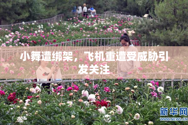 小舞遭绑架，飞机重遭受威胁引发关注