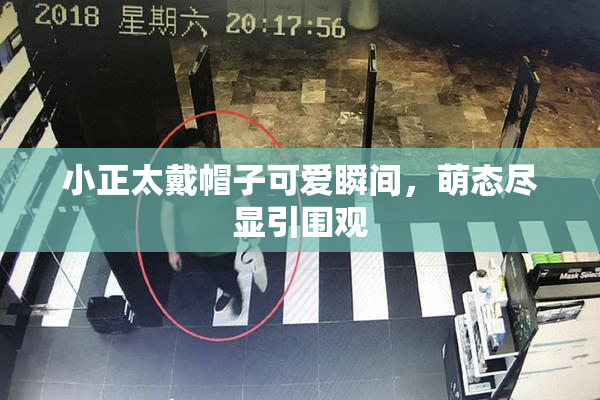 小正太戴帽子可爱瞬间，萌态尽显引围观