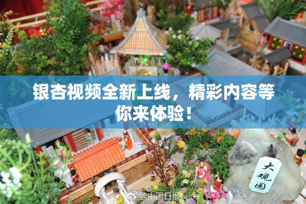 银杏视频全新上线，精彩内容等你来体验！