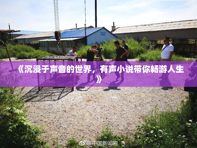 《沉浸于声音的世界，有声小说带你畅游人生》