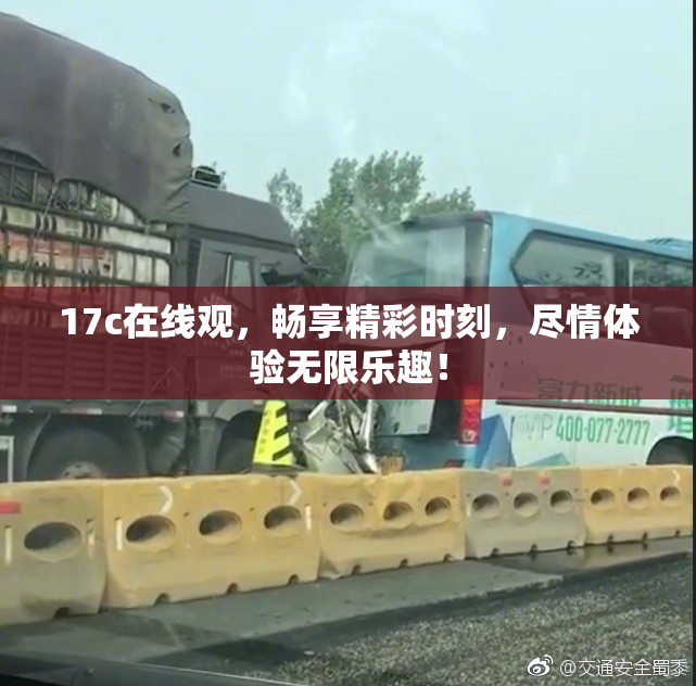17c在线观，畅享精彩时刻，尽情体验无限乐趣！