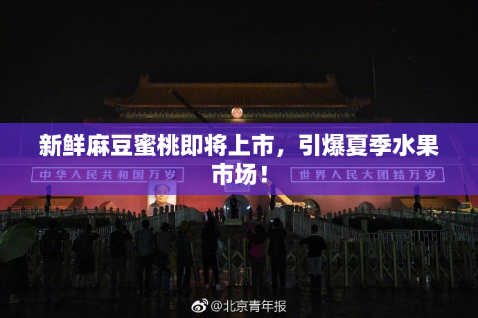 新鲜麻豆蜜桃即将上市，引爆夏季水果市场！