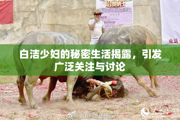 白洁少妇的秘密生活揭露，引发广泛关注与讨论