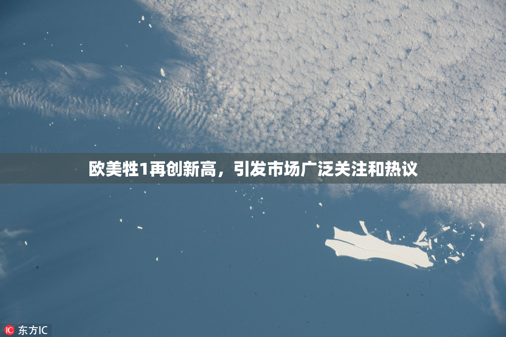 欧美牲1再创新高，引发市场广泛关注和热议