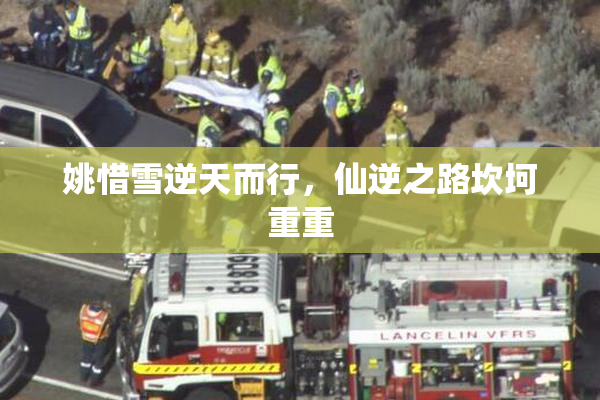 姚惜雪逆天而行，仙逆之路坎坷重重