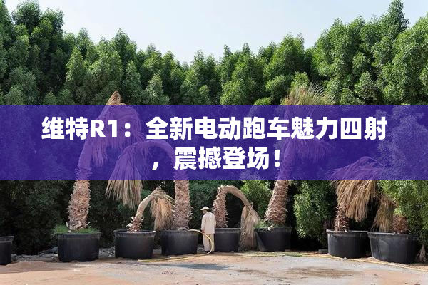 维特R1：全新电动跑车魅力四射，震撼登场！