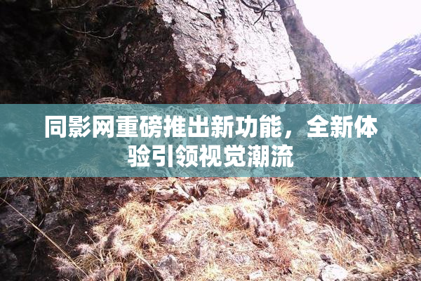 同影网重磅推出新功能，全新体验引领视觉潮流
