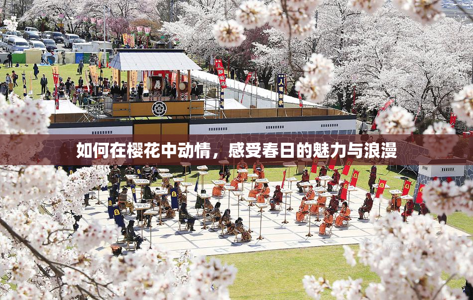 如何在樱花中动情，感受春日的魅力与浪漫