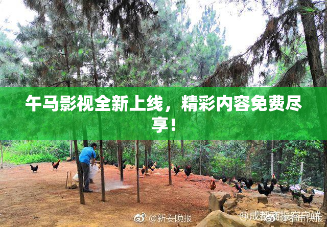 午马影视全新上线，精彩内容免费尽享！