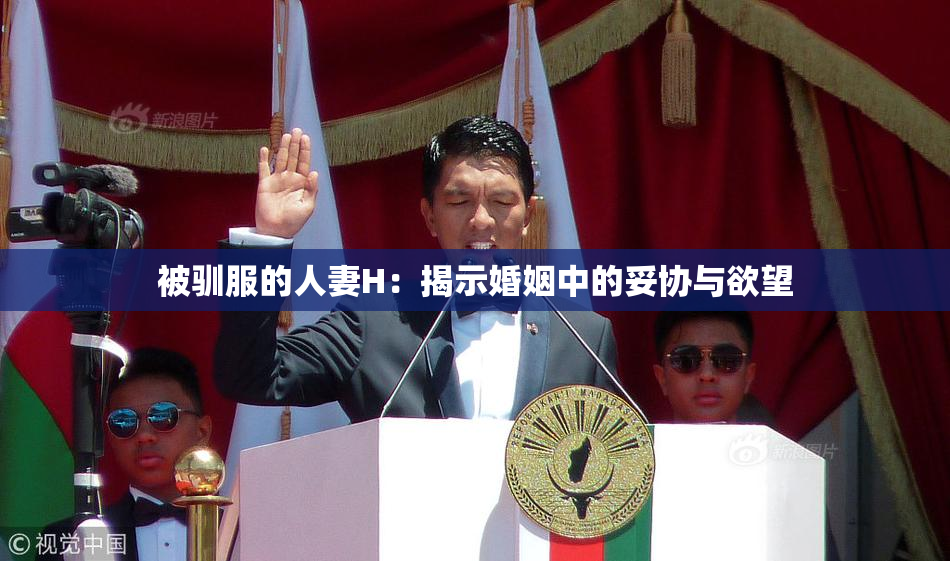 被驯服的人妻H：揭示婚姻中的妥协与欲望