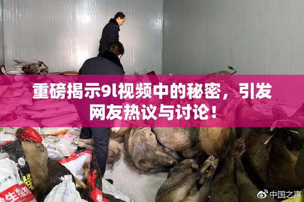 重磅揭示9l视频中的秘密，引发网友热议与讨论！