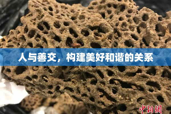 人与善交，构建美好和谐的关系