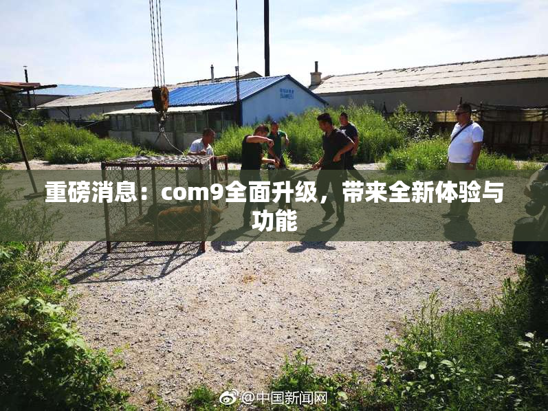 重磅消息：com9全面升级，带来全新体验与功能