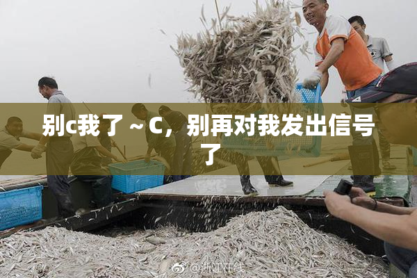 别c我了～C，别再对我发出信号了