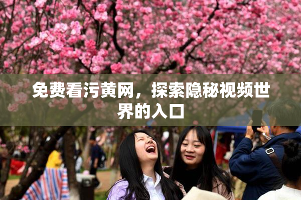 免费看污黄网，探索隐秘视频世界的入口