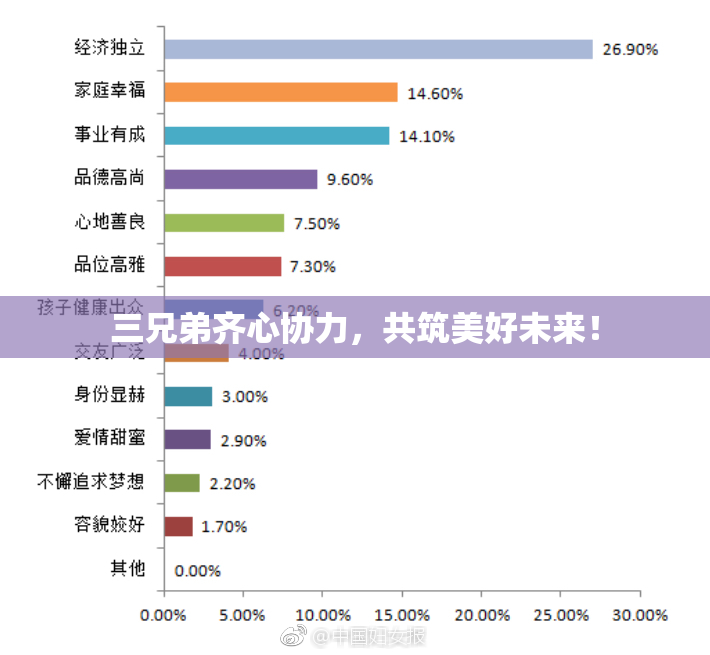 三兄弟齐心协力，共筑美好未来！
