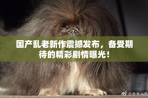 国产乱老新作震撼发布，备受期待的精彩剧情曝光！
