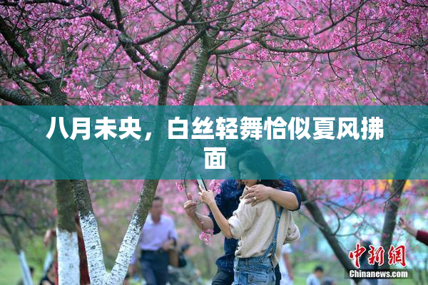 八月未央，白丝轻舞恰似夏风拂面