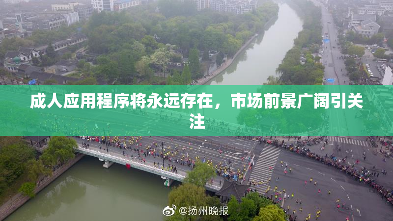 成人应用程序将永远存在，市场前景广阔引关注